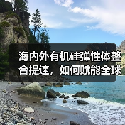 海内外有机硅弹性体整合提速，如何赋能全球